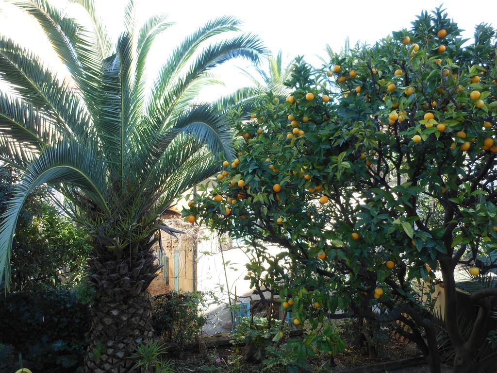 Hotel Villa Les Cygnes Niza Exterior foto